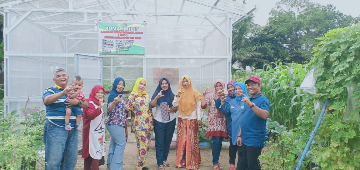 KWT Bertuah Perhentian Marpoyan Kagumi Kebun Sayur Milik Kompok Tani Bucer Sialangrampai