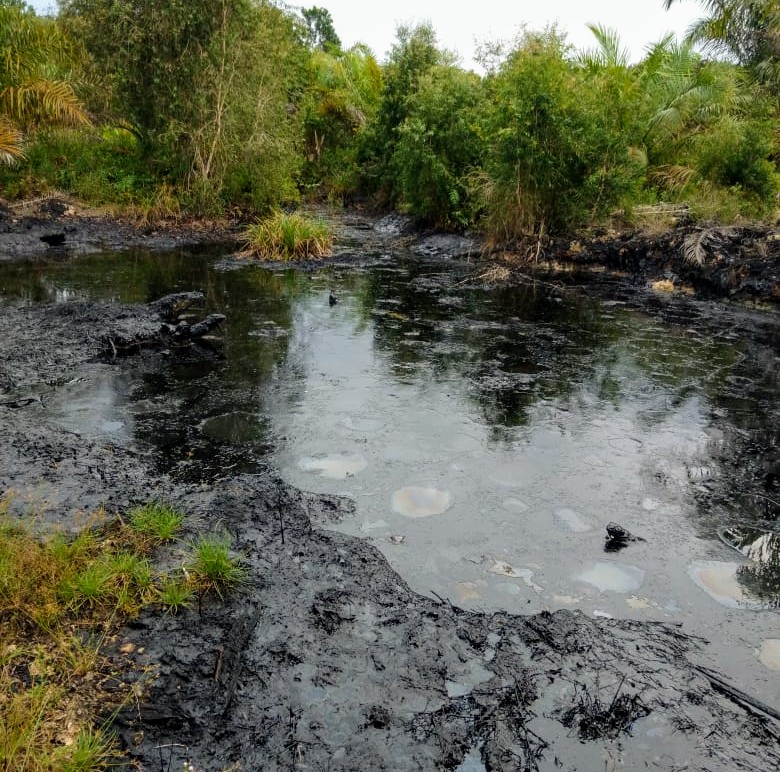 LPPHI Gugat Pemprov Riau Terkait Pencemaran Limbah Minyak Berbahaya