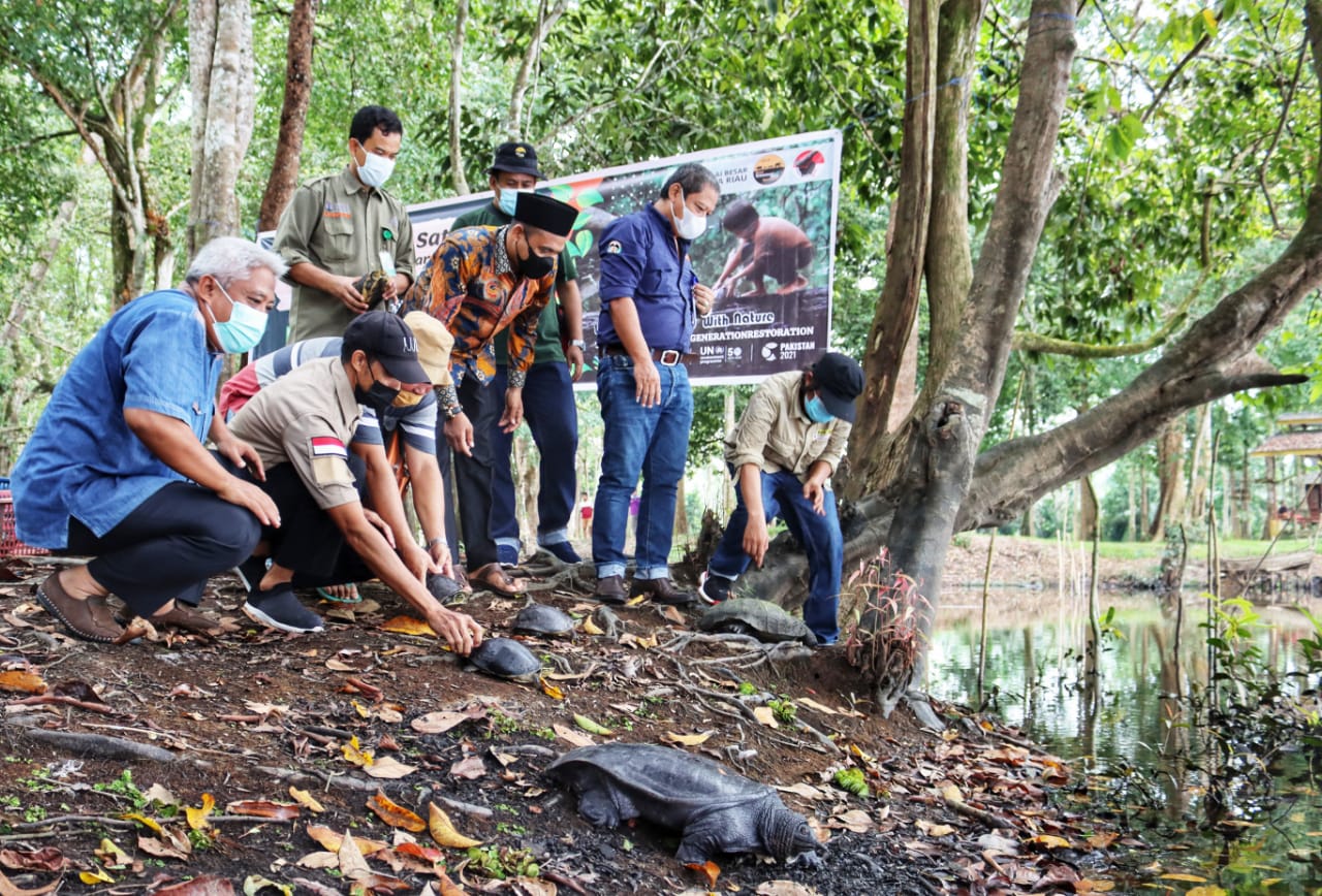 Road to HKAN, BKSDA Riau Lepaskan 33 Satwa Dilindungi ke Kawasan Konservasi 