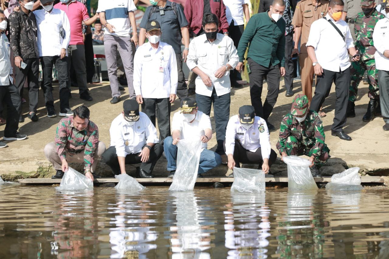 Gubri dan Wagub Tebar 6 Ribu Benih Ikan Patin di Rohul