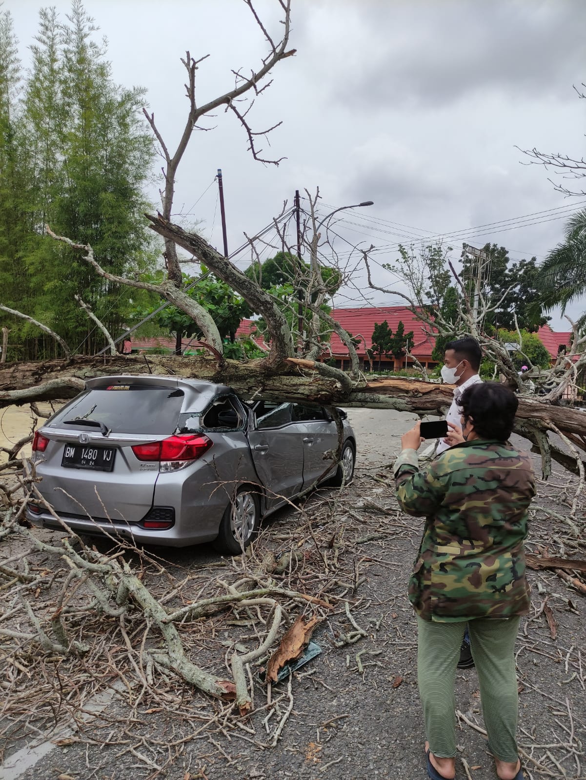 Ditimpa Pohon Tumbang, Satu Unit Mobil Ringsek di Jalan Soetomo  Pekanbaru