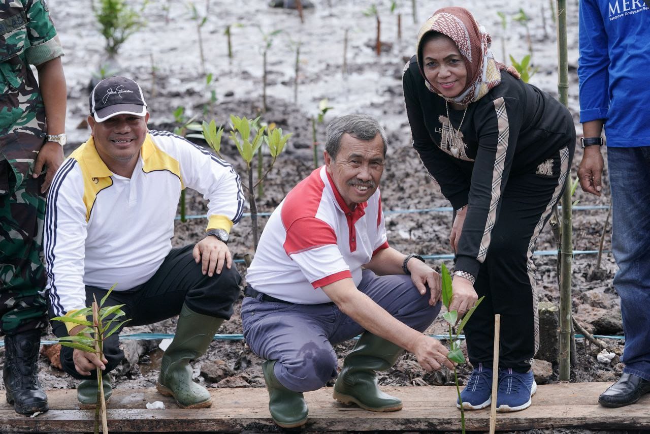 Hari Mangrove Sedunia, Gubri Tanam 200.000 Bibit Mangrove di Bukit Batu