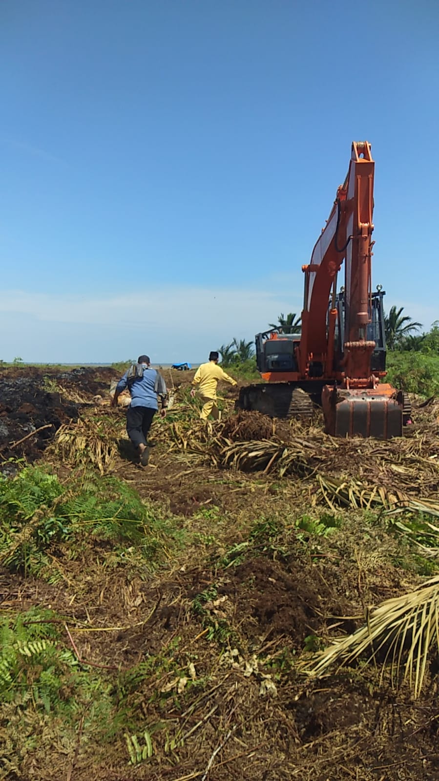 Pakar Lingkungan Dr Elviriadi : HGU PT TUM Cacat Hukum