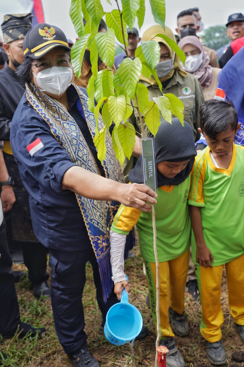 Kunker ke Inhu, Menteri LHK  Tanam Pohon dan Bantu KT Suku Talang Mamak dan Melayu Tua