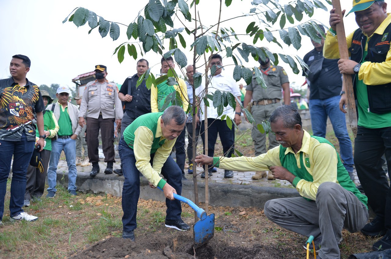 Peringati Hari Konservasi Alam Nasional 2022, Gubri Tanam Pohon di Tahura