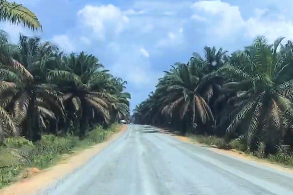 Perpendek Jarak Tempuh, Tahun Ini Pemprov Riau Aspal Jalan PT SIR
