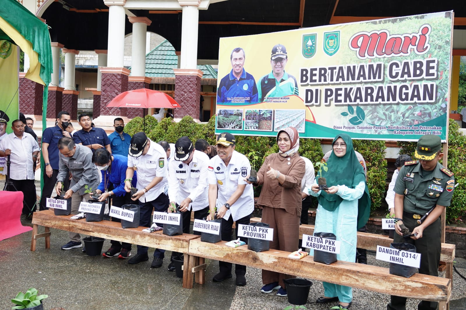 Gubri Kembali Launching Gerakan Tanam Cabai, Kali ini di Kabupaten Inhil