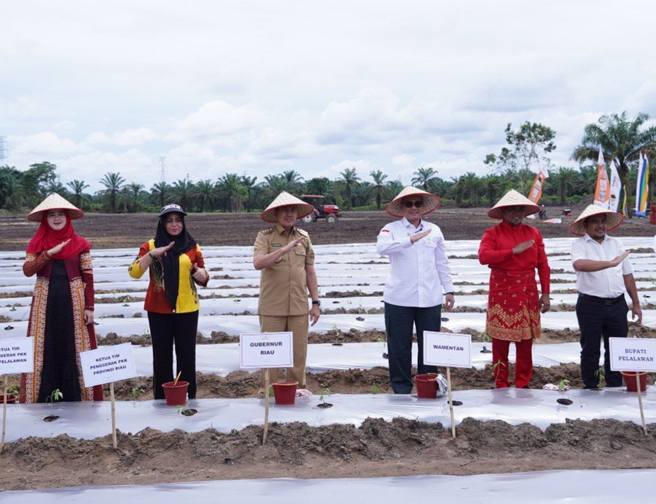 Tekan Inflasi, Gubri dan Wamentan Tanam Cabai Bersama di Pelalawan