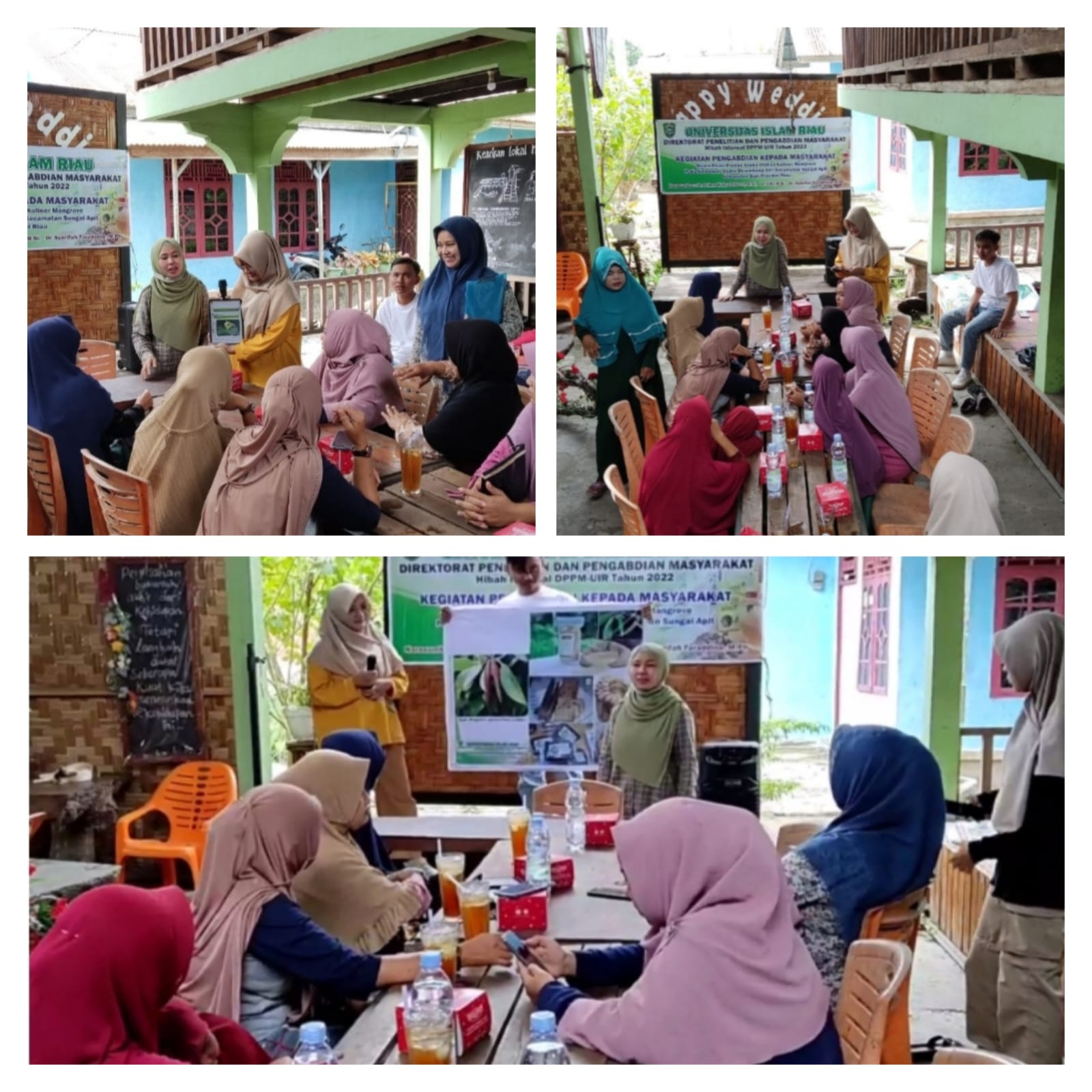 Menggali Multi Manfaat Tanaman Mangrove di Provinsi Riau