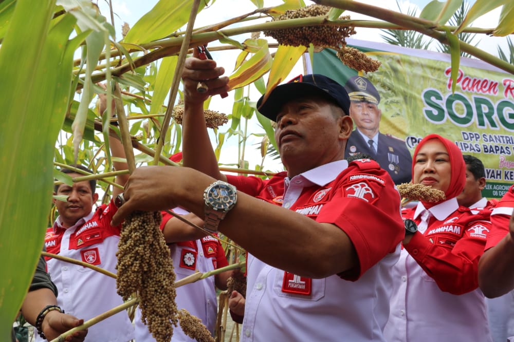 Bersama Klien Bapas, Kepala Kanwil Kemenkumham Riau Panen Sorgum dan Tanam Cabe