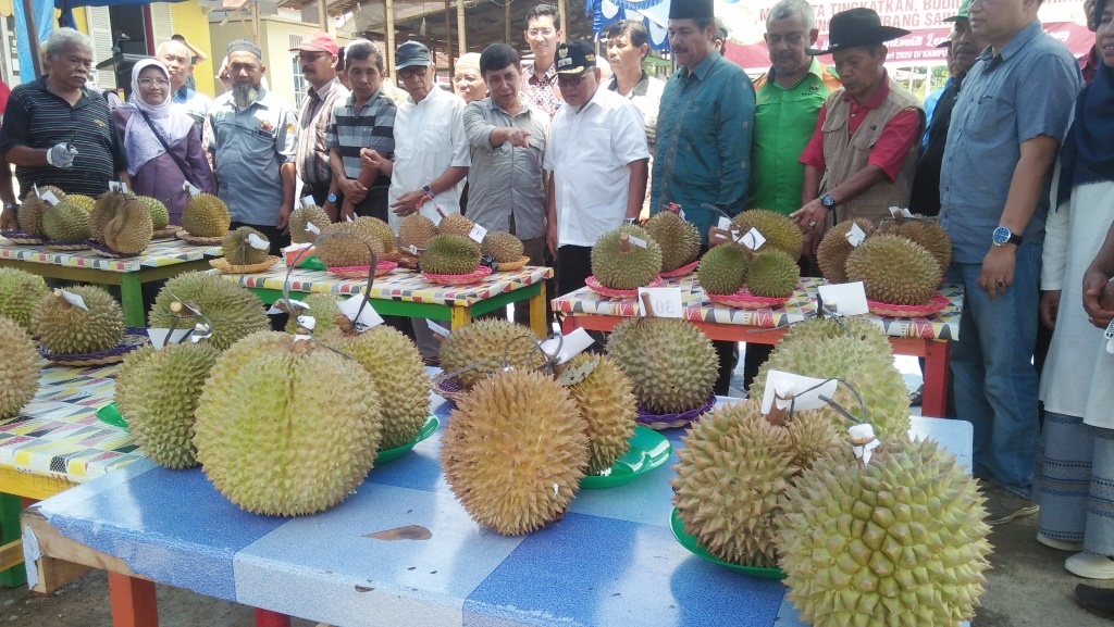 Diikuti 40 Peserta, Nagari Kubang Gelar Festival dan Lomba Durian