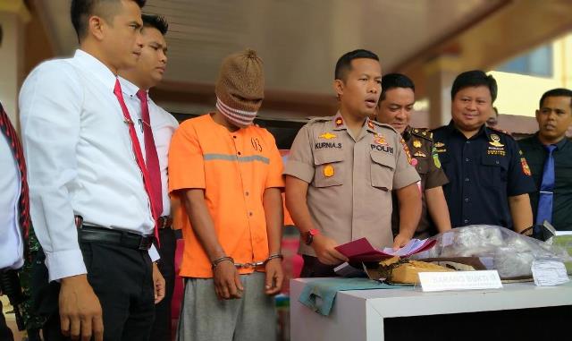 Miliki Ganja 950 Gram, Warga Sekodi Diciduk Polres Bengkalis