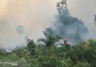 Akibat Kabut Asap Karhutla, 519 Warga Siak Terserang ISPA