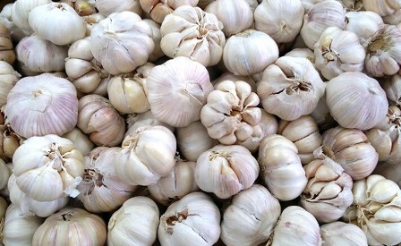 Menstabikan Harga Bawang Putih, Pemko Sawahlunto Gelar Operasi Pasar
