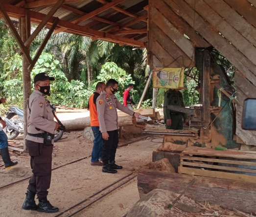 Diduga Tampung Kayu Ilegal, Tiga Sawmill Disegel Polres Kuansing