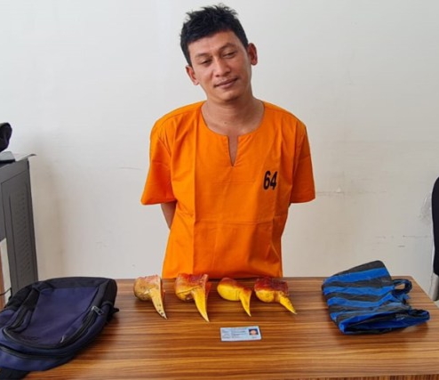Jual Paruh Rangkong di Pekanbaru, Pria Asal Sumbar Diringkus Polisi