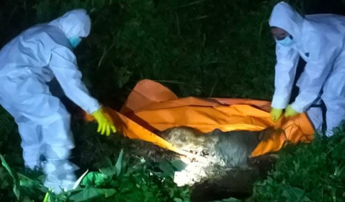 Berbelatung, Warga Pandau Jaya Temukan Mayat Tanpa Identitas 