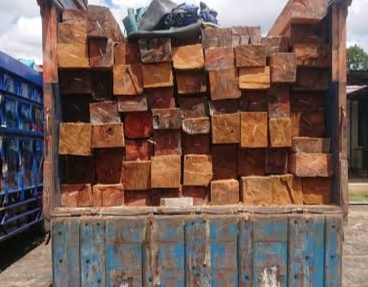 Sopir dan Dump Truk Ilegal Logging Diamankan Polsek Pranap