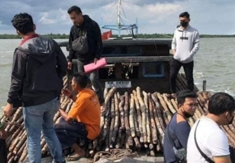 Oknum Kades di Meranti Jadi Tersangka Ilegal Logging