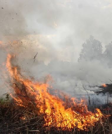 232 Titik Panas Kepung Sumatera, 14 Berada di Riau