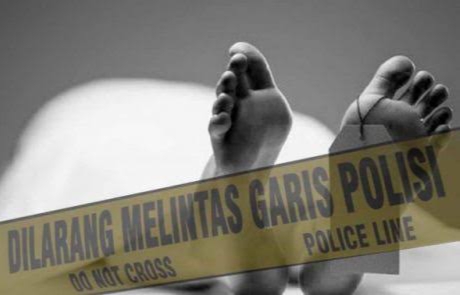Bersihkan Kebun, Pekerja Sawit di Kuansing Temukan Kerangka Manusia 