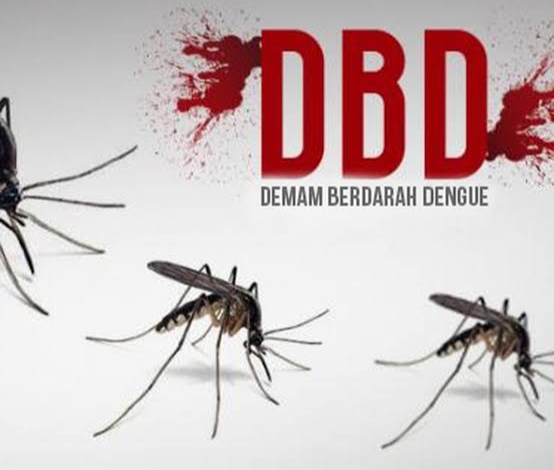 Musim Pancaroba, Kasus DBD di Pekanbaru Meningkat