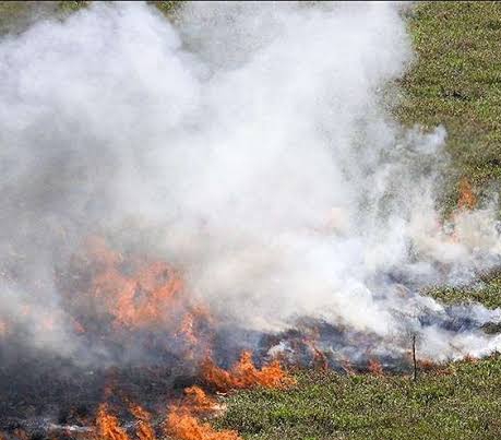 Lima Hektar Lahan Kosong di Medang Kampai Terbakar
