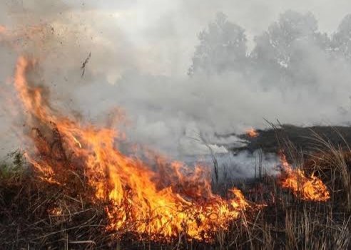 Minim Curah Hujan, BMKG Pantau Dua Titik Panas di Riau