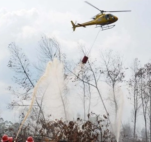 Puluhan Hektar Lahan Terbakar, BPBD Riau Turunkan  Helikopter Padamkan Karhutla