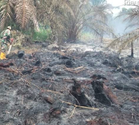 Tim Gabungan BPBD Riau Fokus Padamkan Karhutla di Rohil