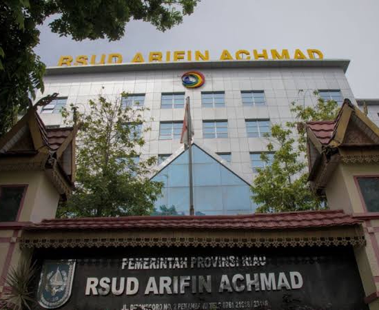 DPMPTSP Riau dan RSUD Arifin Achmad Raih Predikat Menuju WBK dari Menpan RB