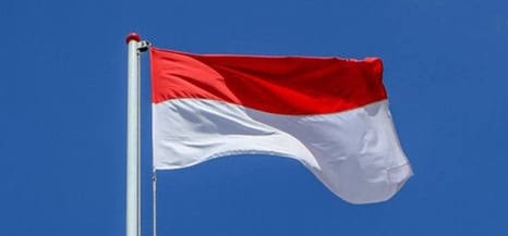 Semarakkan HUT RI ke 77, Pemprov Riau Bagikan 10 Ribu Bendera Merah Putih 