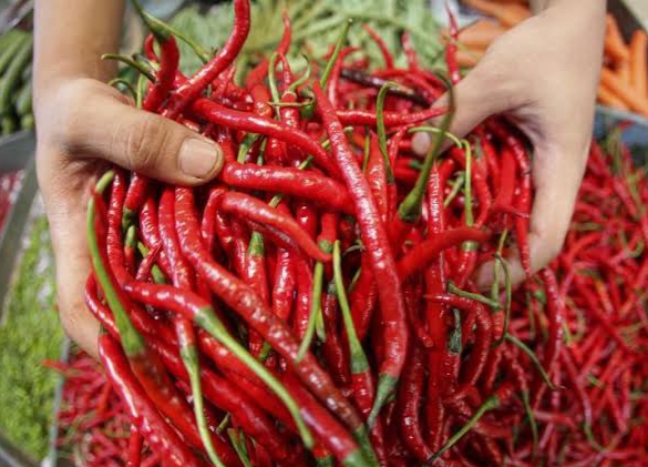 Kabar Baik, Harga Cabai di Pekanbaru Mulai Turun!