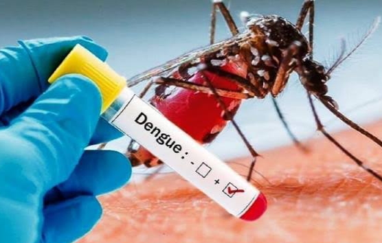 Bahaya! Dua Orang Warga Riau yang Terpapar DBD  Meninggal Dunia 