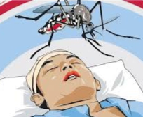  Dua Anak di Pekanbaru Meninggal karena Demam Berdarah