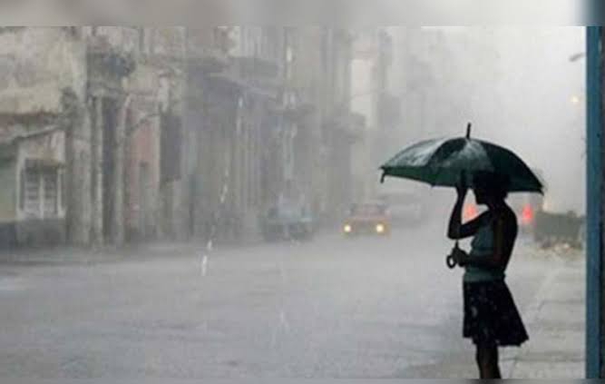 Waspada! Riau Berpotensi Hujan Disertai Angin Kencang