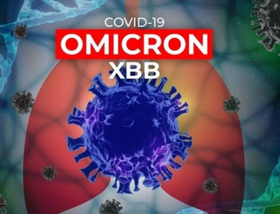 Antisipasi Covid-19 Varian XBB, Diskes Riau Rutin Kirim Sampel ke Jakarta 