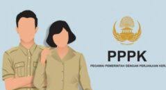 Selamat, 438 Pelamar PPPK Pekanbaru Lulus  Seleksi Administrasi 