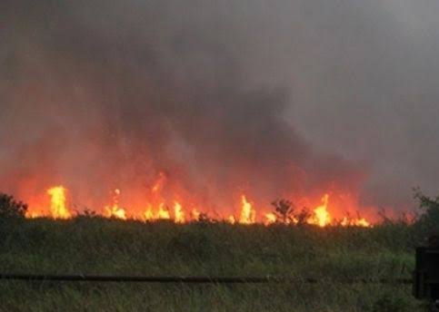 Gawat! Riau Penyumbang Titik Panas Terbanyak di Sumatera 