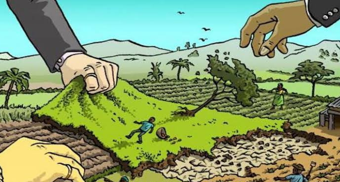 Parah! 84 Perusahaan Perkebunan di Riau Tidak Miliki HGU