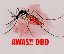 Waspada! Diskes Temukan 2.102 Kasus DBD di Riau, Terbanyak Pekanbaru 