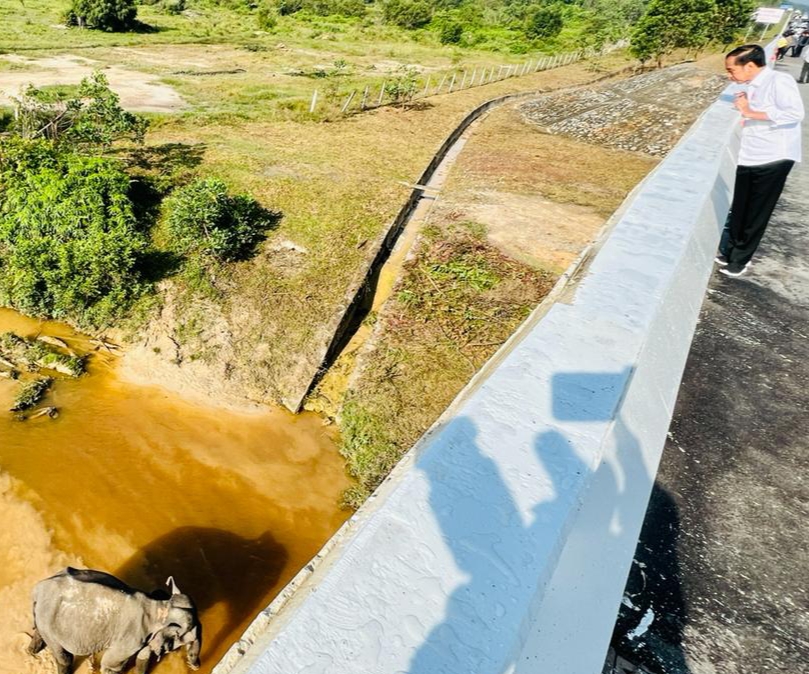 Presiden Jokowi Puji Terowongan Perlintasan Gajah di Tol Pekanbaru-Dumai