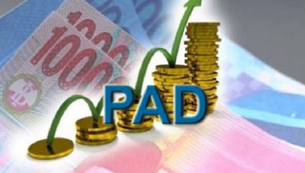 Pemprov Riau Targetkan PAD Sektor Pajak Tahun 2023 Rp5 Triliun