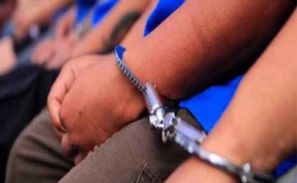 Korban Disekap, 6 Kawanan Rampok di Rohil Gasak Sarang Burung Walet dan Uang Belasan Juta