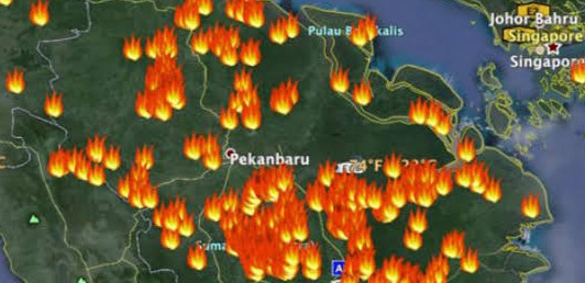 Hotspot di Riau Bertambah, Tersebar di Siak dan Inhil