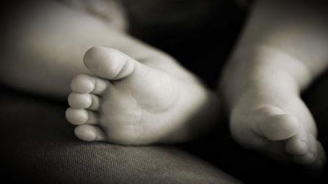 Penemuan Bayi di Tepi Sungai Siak, Ada Luka di Leher dan Kepala