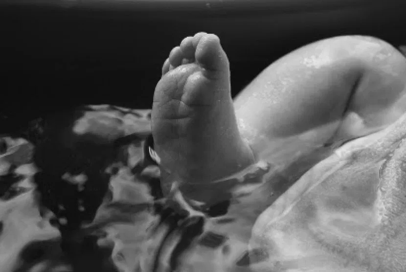 Kronologi Penemuan Potongan Tubuh Bayi yang Diperebutkan Anjing 