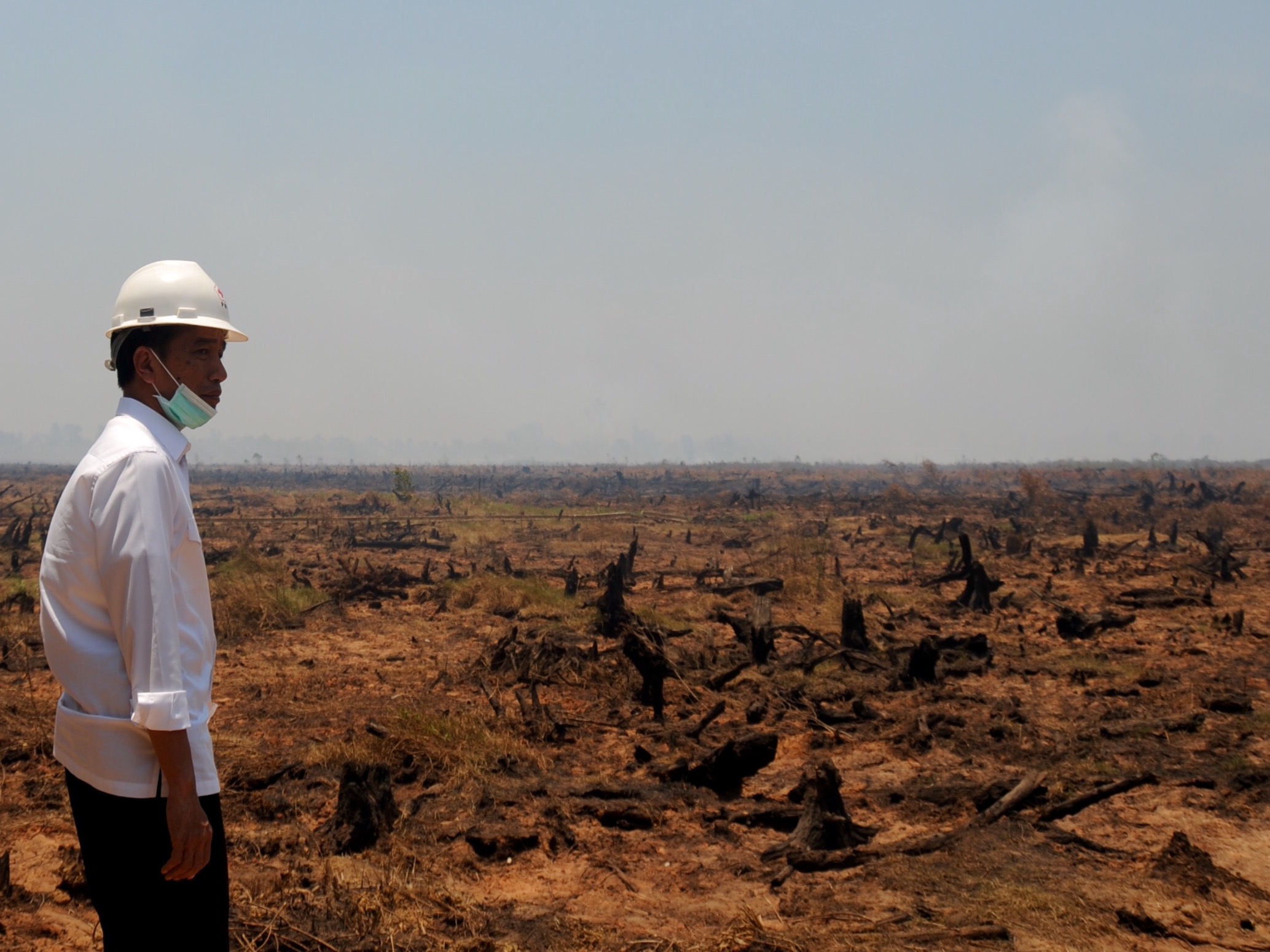 Tinjau Karhutla, Jokowi Akan Bertolak ke Provinsi Riau Hari Ini