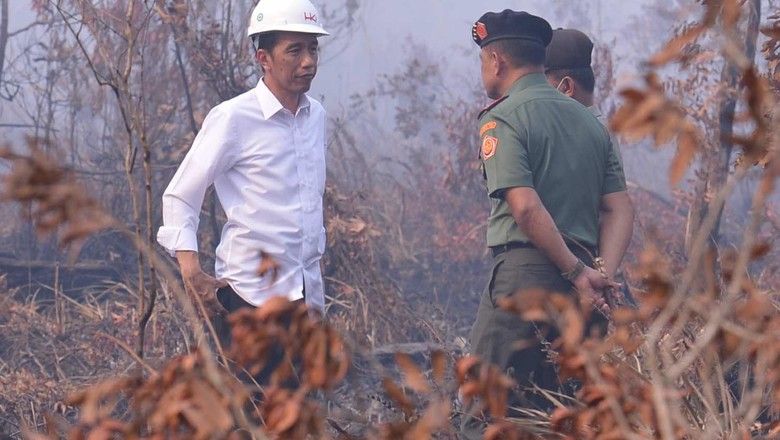 MA Vonis Jokowi Melawan Hukum pada Kasus Kebakaran Hutan di Kalimantan