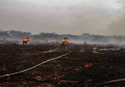 328.724 Hektare Lahan di Indonesia Terbakar, Riau Terluas di Sumatera